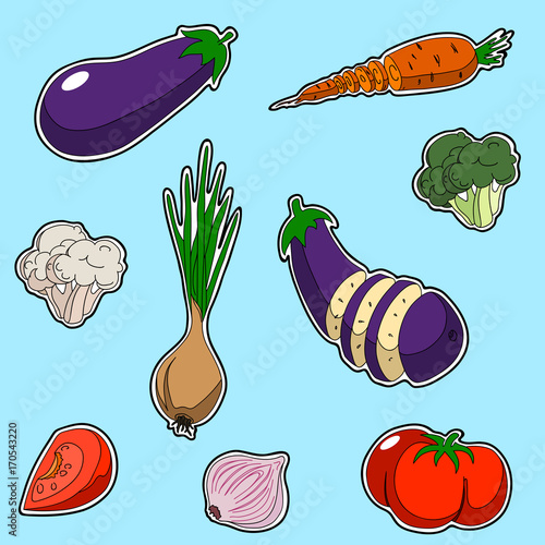 Set of vegetables, sticker style. Set contains onion broccoli tomato garlic eggplant cabbage carrot cauliflower sliced and whole