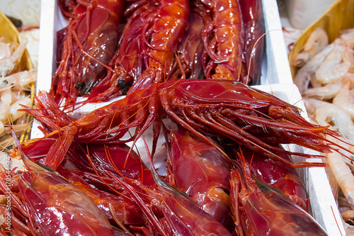 Fresh big red shrimp, seafood (Carabineros de Isla Cristina, Huelva)
