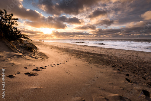 Danish beach coastline