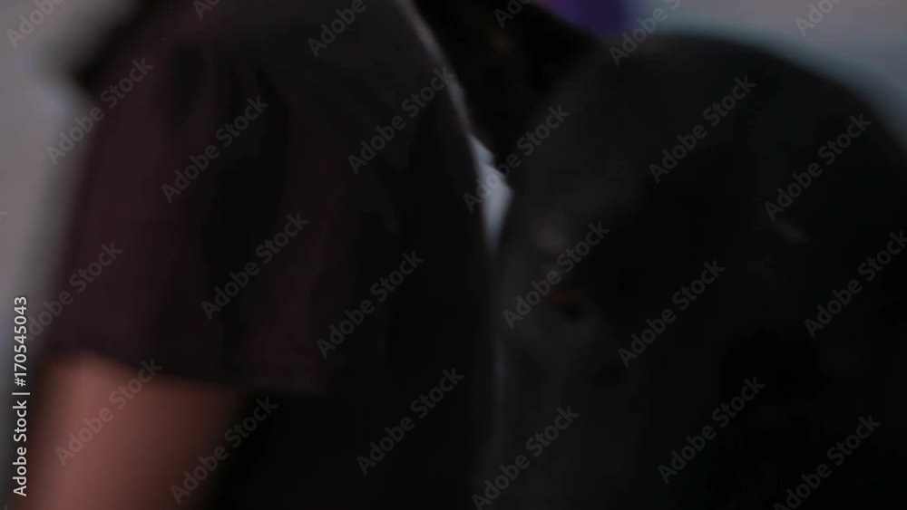 Street dog tries to lick a girl in the face. Pattaya, Thailand. Shooted with Lens Baby Sweet, 35mm.