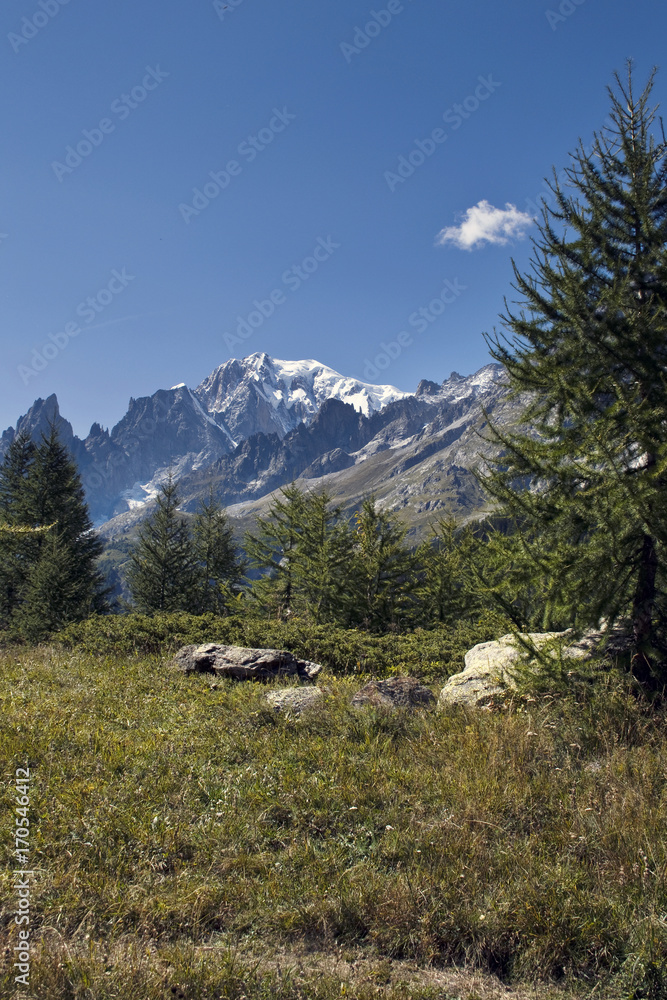 Il monte Bianco visto dalla val Ferret.