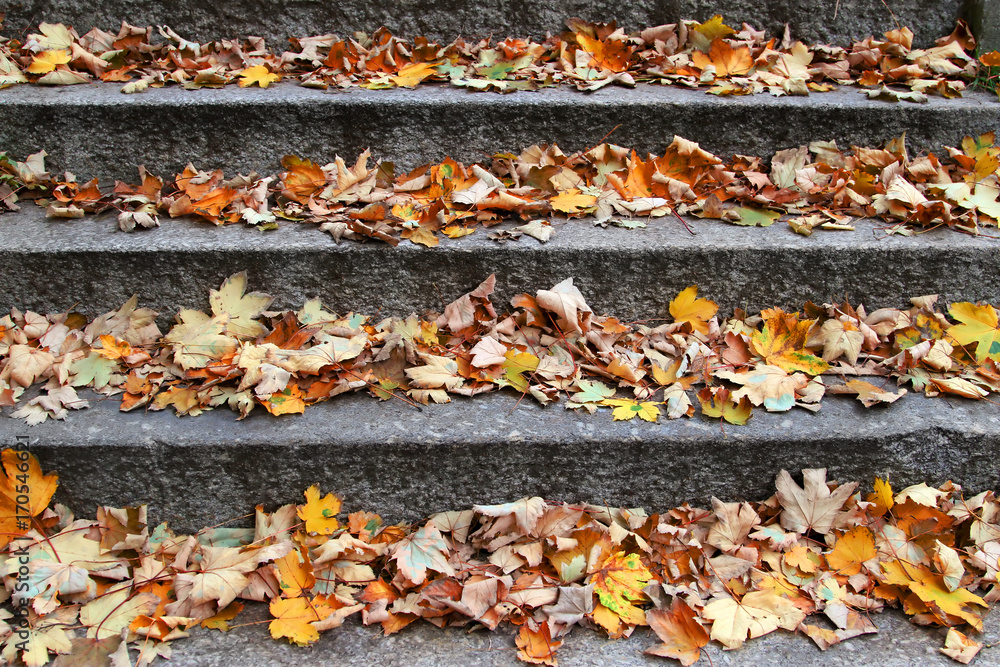 Autumn leaves on stone stairs