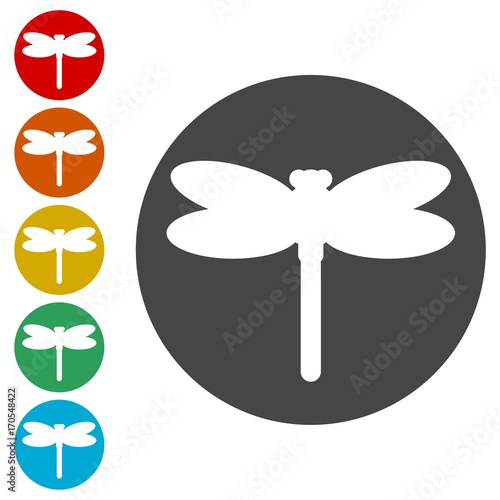 Dragonfly insect vector icons set illustration 