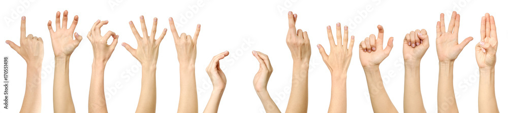 Female hand gestures and signs collection isolated Female hand gestures and signs collection isolated