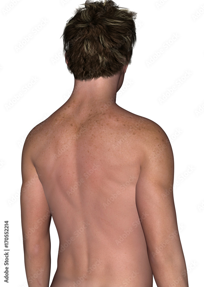 Naklejka premium Shoulders - 3D