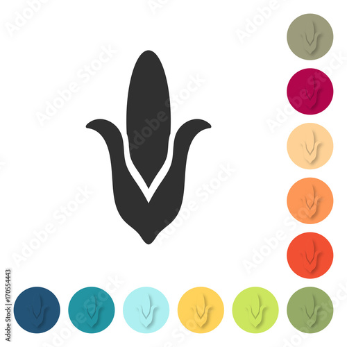 Farbige Buttons - Maiskolben
