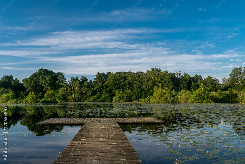 Calm lake early summer morning