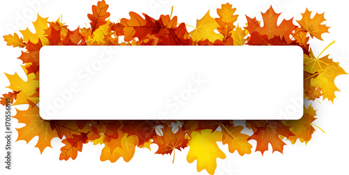 Autumn banner with orange leaves.