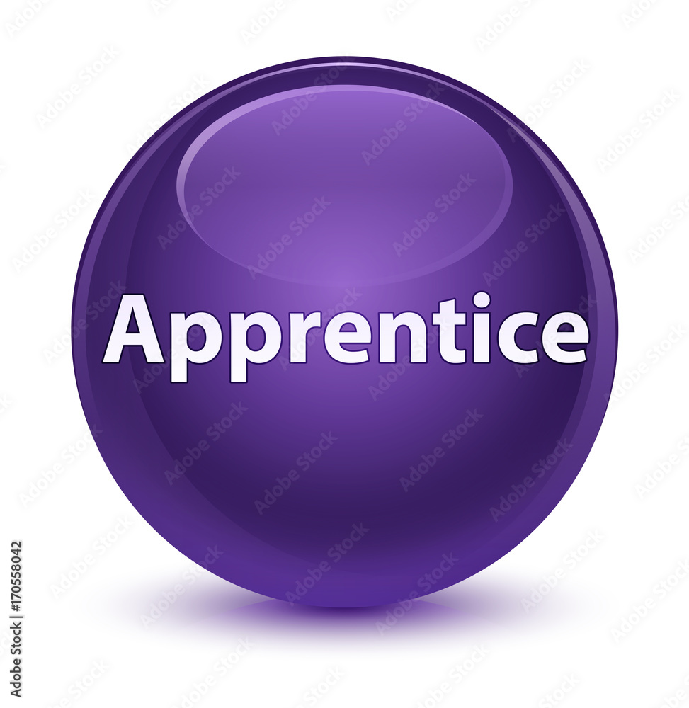 Apprentice glassy purple round button Apprentice glassy purple round button