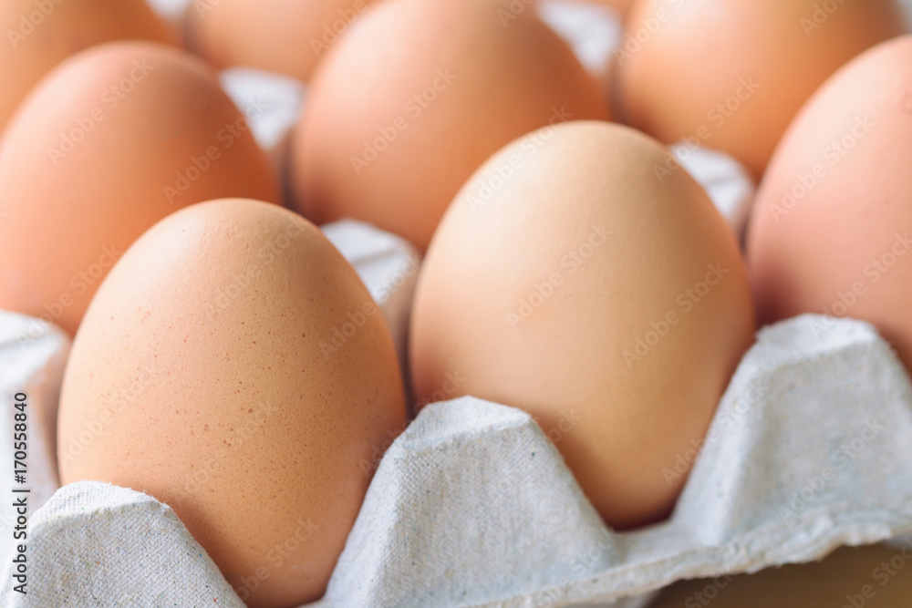 Fresh eggs in egg rack on wood table. Prepare chicken eggs for cooking or bakery on rustic wood table. Close up with selective focus concept fresh eggs with macro concept for background or wallpaper. Fresh eggs in egg rack on wood table. Prepare chicken eggs for cooking or bakery on rustic wood table. Close up with selective focus concept fresh eggs with macro concept for background or wallpaper.