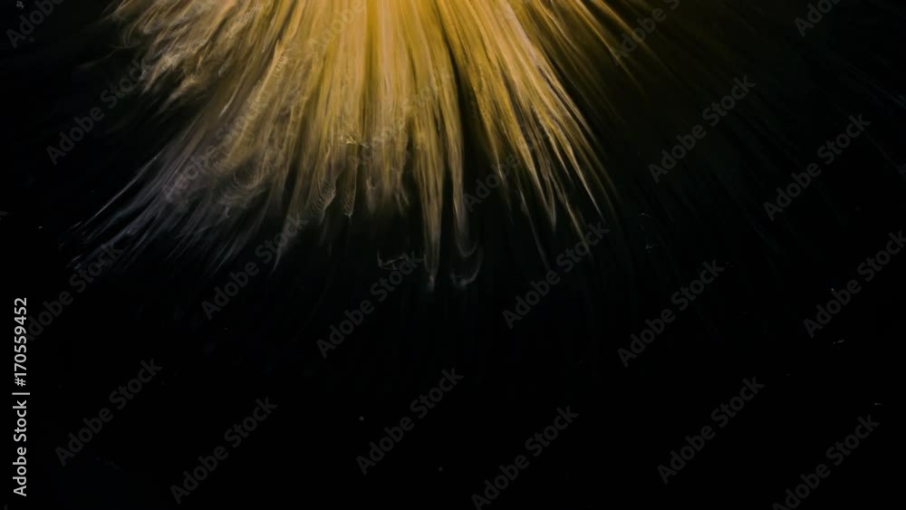 Macro of paint color in water turning from yellow to white looking like a solar flare explosion or lava abstract background Macro of paint color in water turning from yellow to white looking like a solar flare explosion or lava abstract background