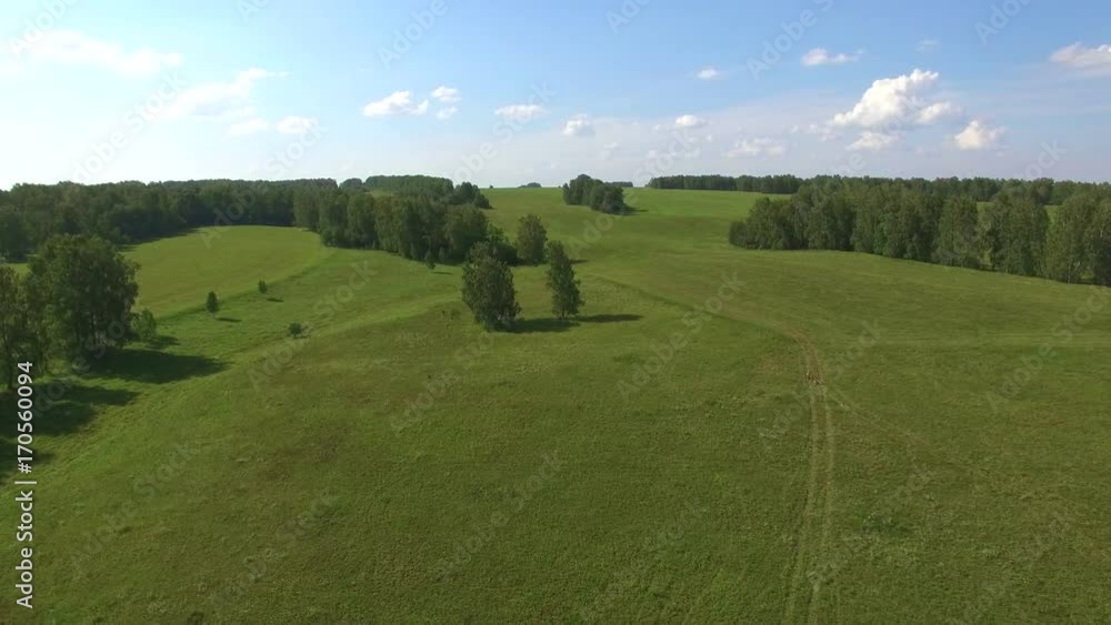 Aerial view flying from drone above beautiful green summer landscape with field and young boy walking with bike. Aerial view flying from drone above beautiful green summer landscape with field and young boy walking with bike.