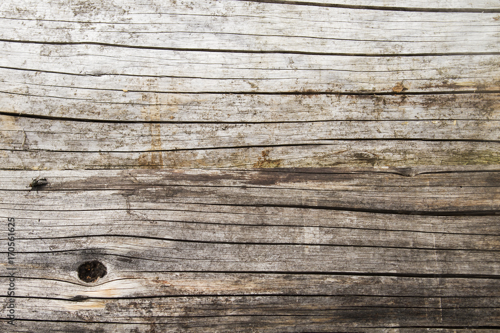hardwood background or texture hardwood background or texture