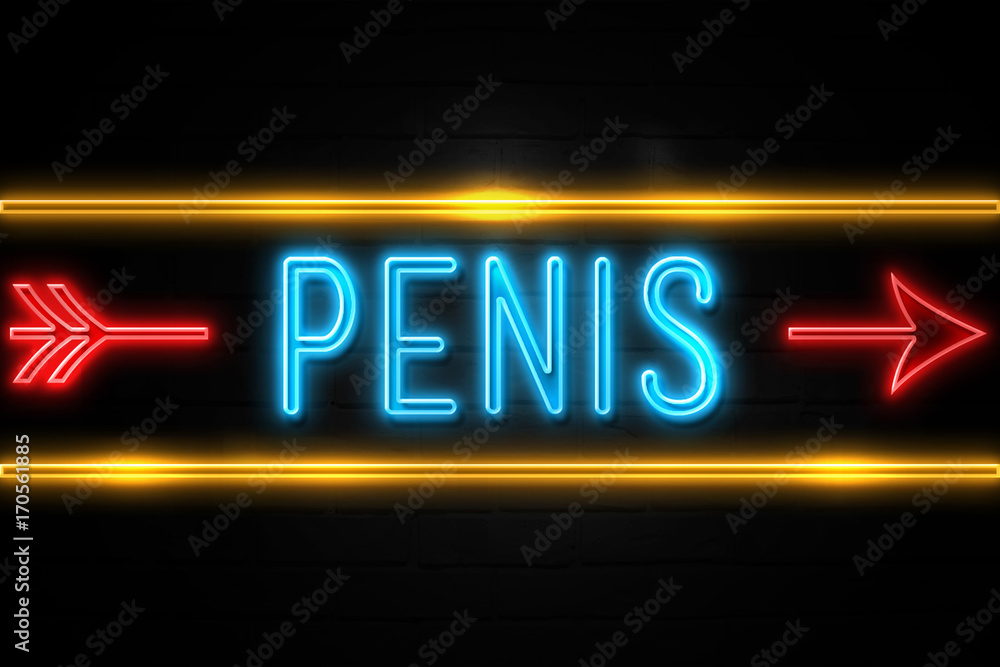 Penis  - fluorescent Neon Sign on brickwall Front view