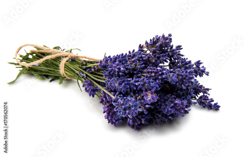 Purple bouquet Lavender flowers