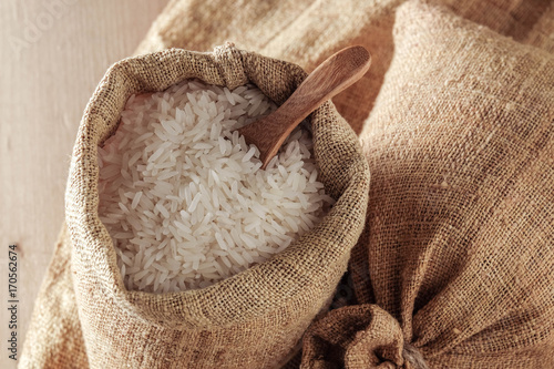 Rice, the staple food of Asians