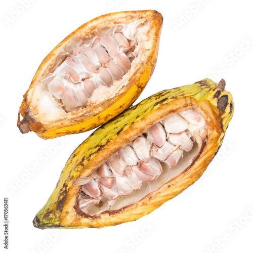 Cacao fruit, raw cacao beans, Cocoa pod isolated on white background