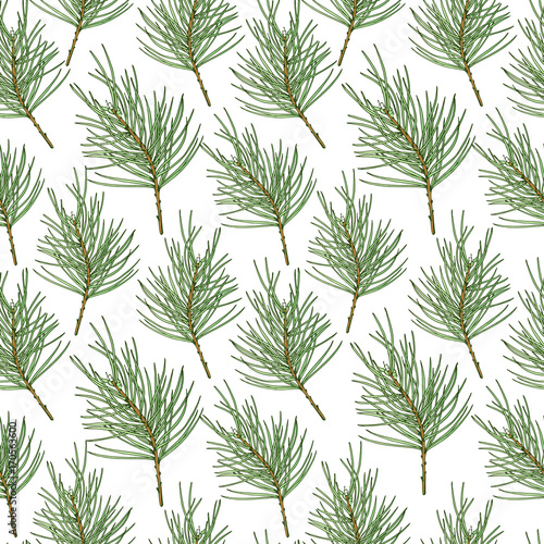 Vector holiday illustration Happy Holidays. Seamless pattern with a branch of pine on white background.