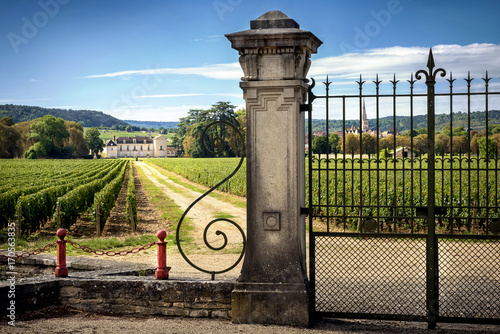 Castle with vineyards, Burgundy, Montrachet.France photo