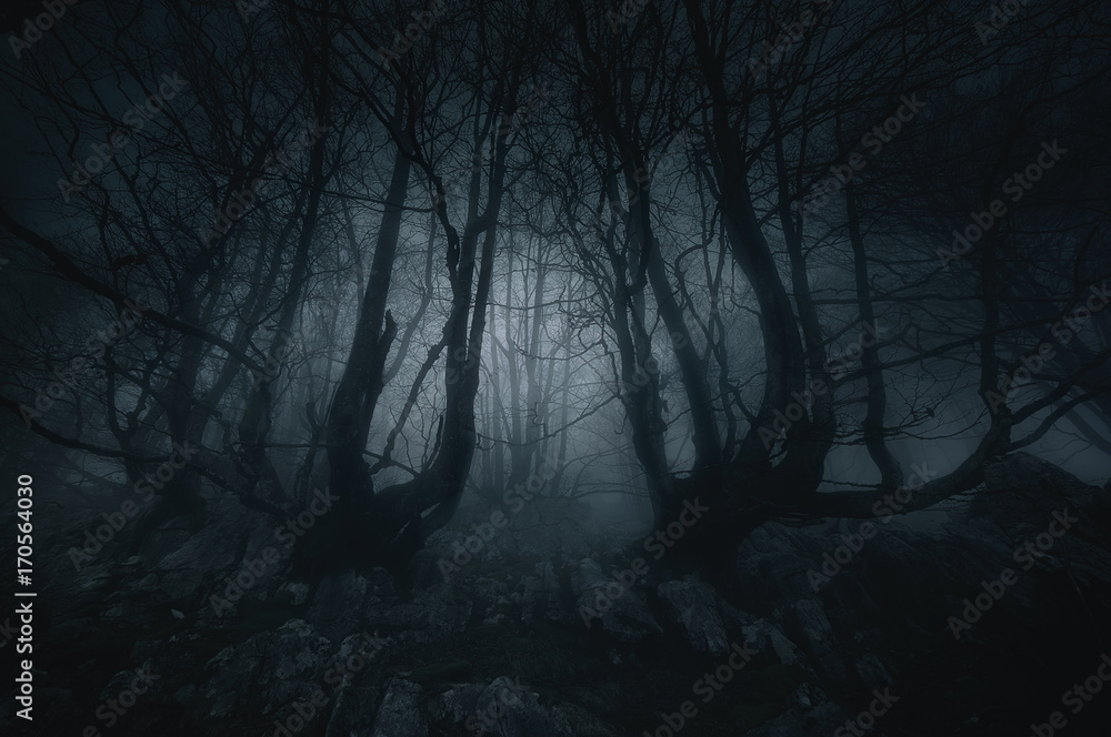 Naklejka premium koszmarny las z przerażającymi drzewami