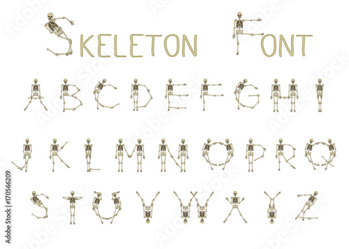 Dancing skeletons font, set of letters. Stock line vector illustration 