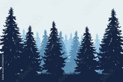 Vector realistic illustration of coniferous forest with grass under winter blue sky