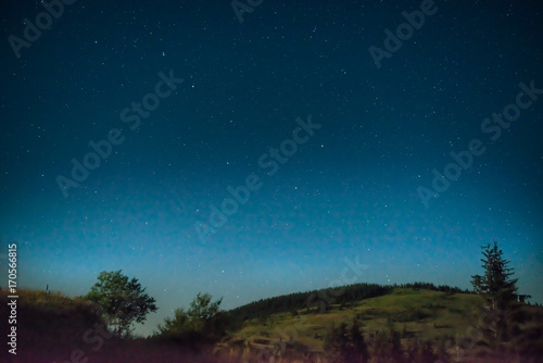 Dark blue night sky with a tree