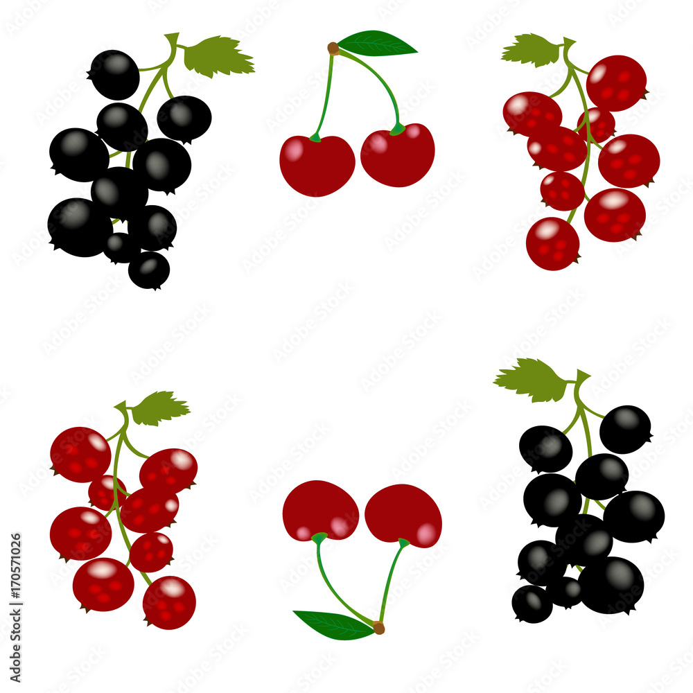 Vector set of berries. Cherry, black currant and red currant. Background design for tea, ice cream, natural cosmetics, candy and bakery, health care products Vector set of berries. Cherry, black currant and red currant. Background design for tea, ice cream, natural cosmetics, candy and bakery, health care products