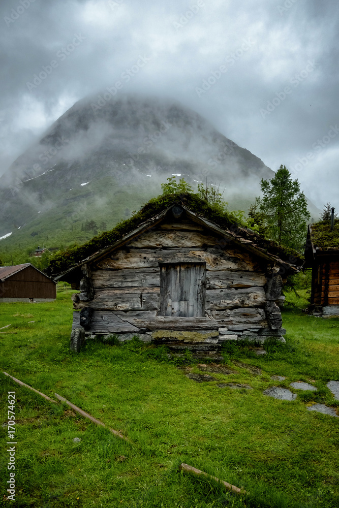 Scenic view of old wooden house with grass on the roof, traditional norway house.