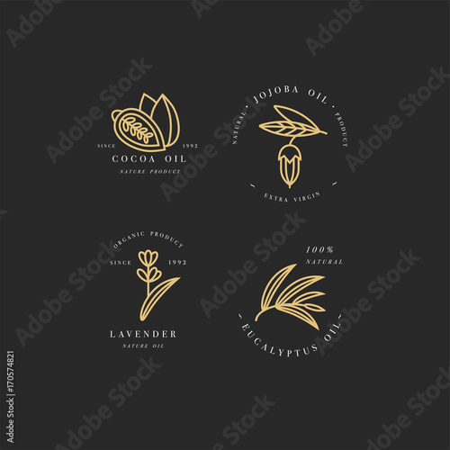 Vector set of packaging design templates and emblems - beauty and cosmetics oils - cocoa, lavender, jojoba and eucalyptus