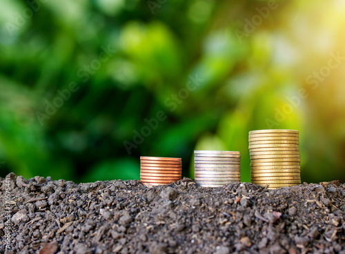 stacked coin on soil for nuture background