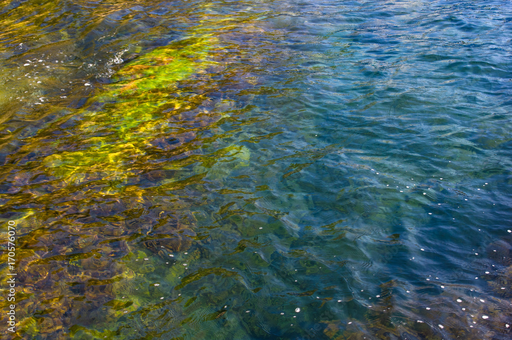 rocky sea shore with with seaweed, waves with foam