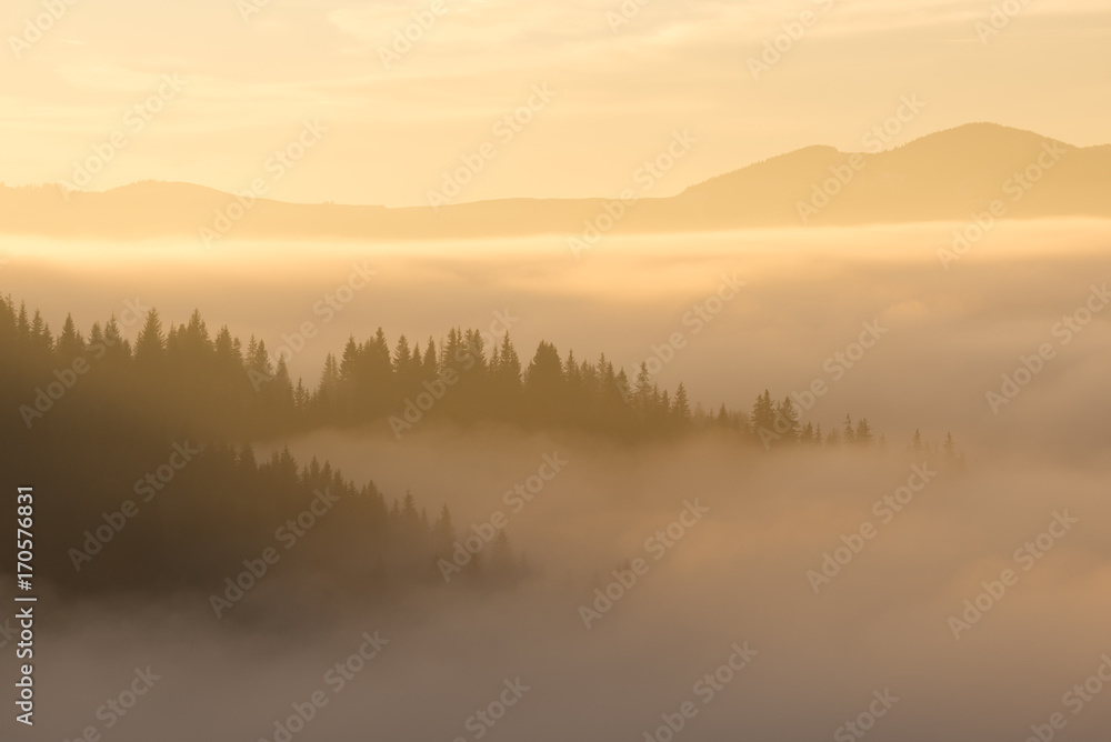 Morning autumn fog in the mountains