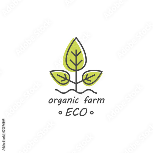 Green and organic products label or badge - icons and illustrations related to fresh