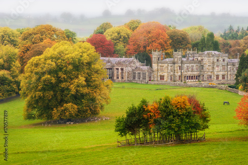 Back in time: under a grey sky by a splendid autumn's morning, alone in a park just accompany by deers, horses and cows, Lough Fea, Carrickmacross, County Monaghan, Ireland