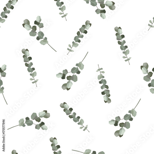 Eucalyptus seamless pattern. Hand drawn vector illustration.