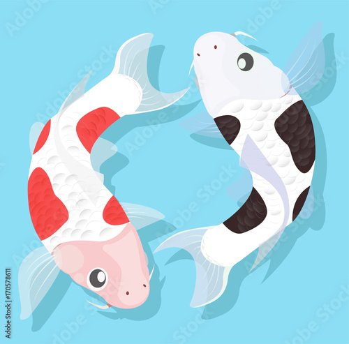 carpe koi vector