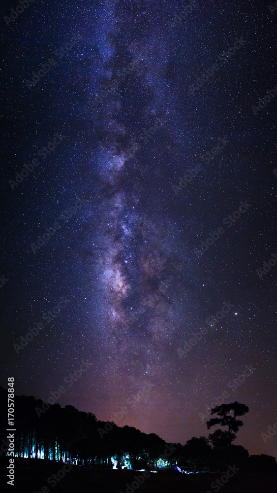 Silhouette of pine tree and Milky way  galaxy at Phu Hin Rong Kla National Park,Phitsanulok Thailand