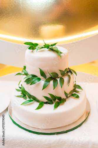 Elegant  white multi tiered wedding or birthday cake decorated with fresh green leaves on the table, free space