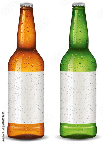 Beer bottle blank package design