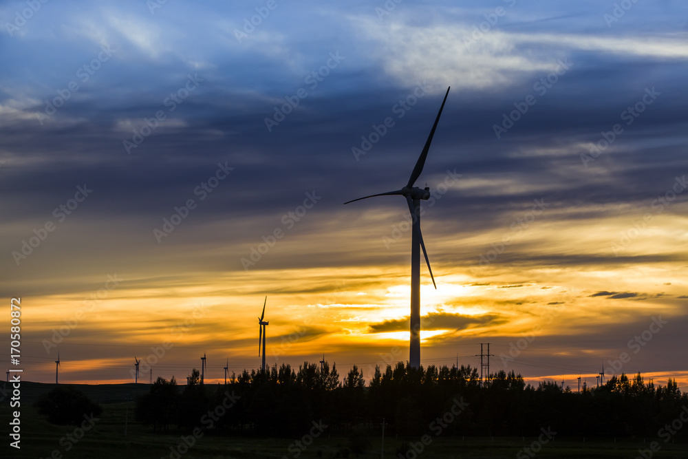 Obraz premium Wind turbines in the evening