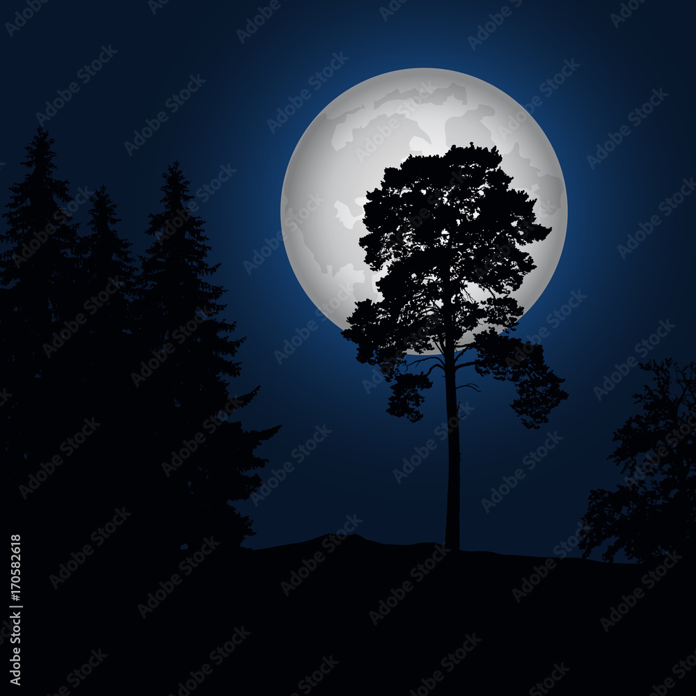 Realistic illustration of a landscape with coniferous trees under a blue night sky with a luminous moon