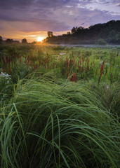 Fototapete Khaki Sonnenaufgang über Prärie in Illinois  © Mark Baldwin