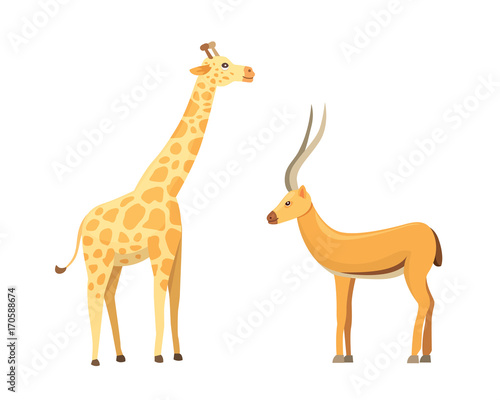 Fototapeta Naklejka Na Ścianę i Meble -  African animals cartoon vector set. Antelope and giraffe.