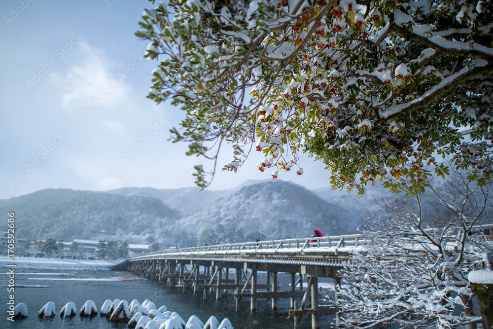 冬の嵐山 Stock 写真 Adobe Stock