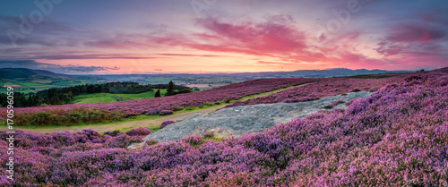 Fotografia Panorama at Twilight over Rothbury Heather, on the terraces, which walk offers v