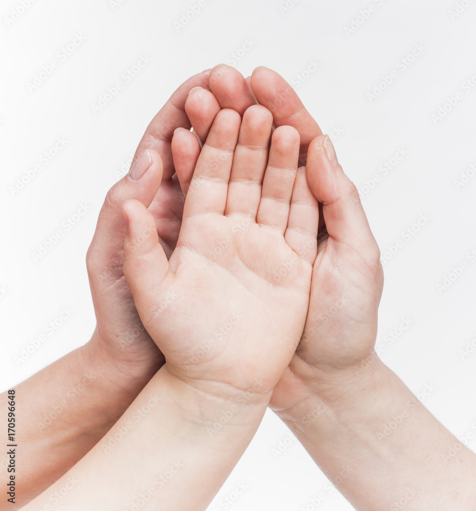 The pulms of adult females and child, isolated The pulms of adult females and child, isolated