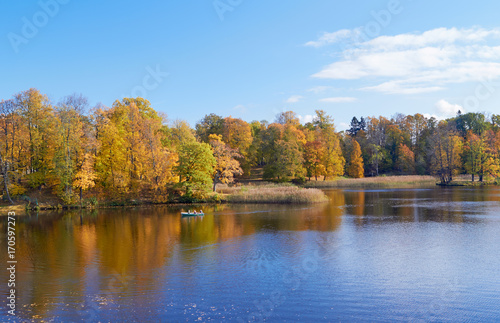 Autumn colorful landscape with falling leaves.October day in Pavlovsk Park, St.Petersburg, Russia