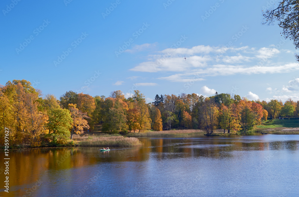 Autumn colorful landscape with falling leaves.October day in Pavlovsk Park, St.Petersburg, Russia Autumn colorful landscape with falling leaves.October day in Pavlovsk Park, St.Petersburg, Russia