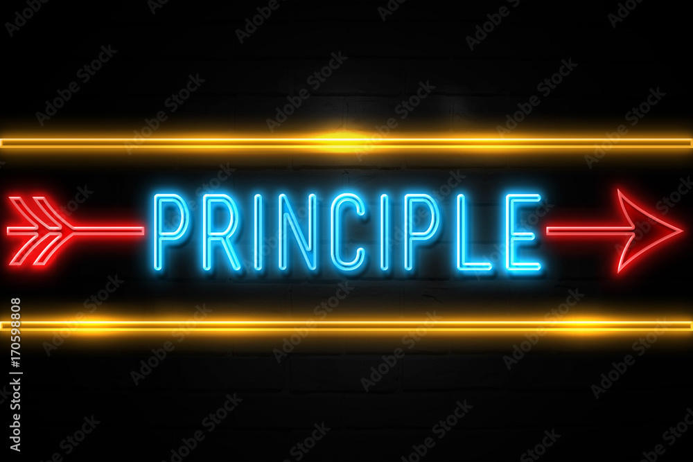 Principle  - fluorescent Neon Sign on brickwall Front view